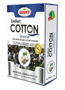 COTTON SPECIAL