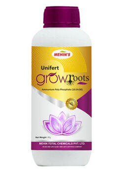 GROW ROOT