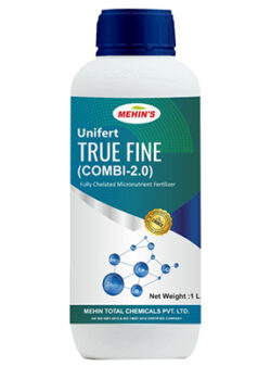 TRUE FINE – Combi-2