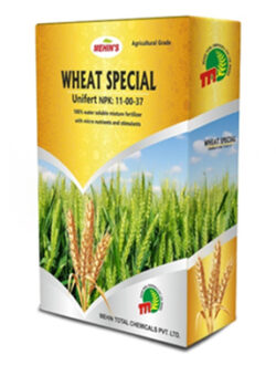 WHEAT SPECIAL